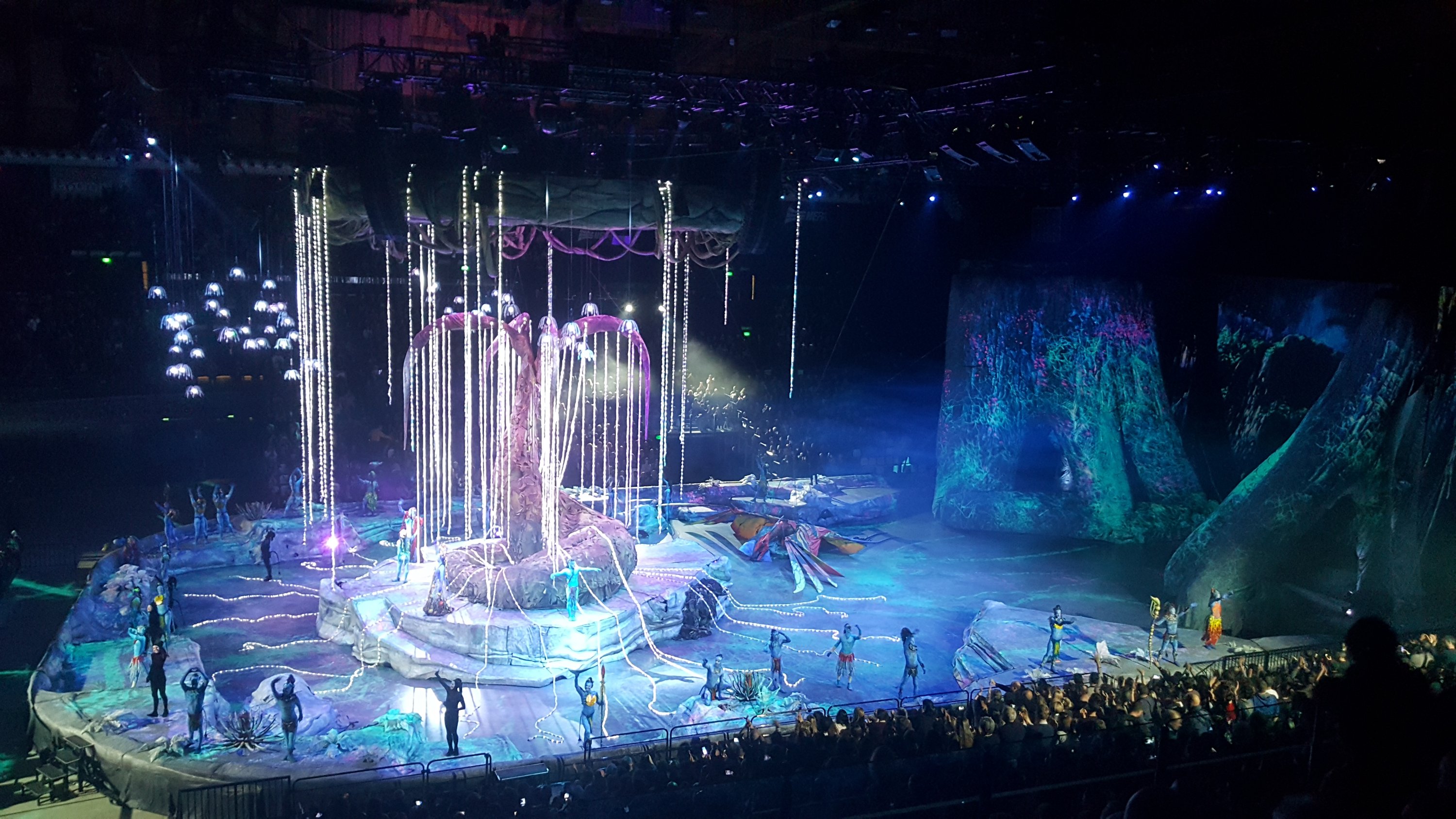20181125_193453151008239.jpg